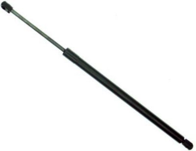 Sachs Lift Support