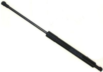 Sachs Lift Support