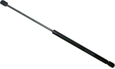Sachs Lift Support