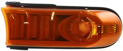 Replacement Turn Signal Light