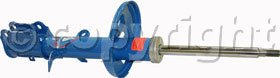 Tokico Shock Absorber and Strut Assembly