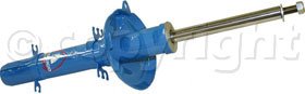 Tokico Shock Absorber and Strut Assembly