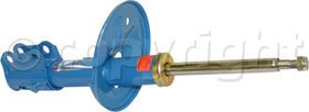 Tokico Shock Absorber and Strut Assembly