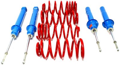 Tokico Lowering Kit