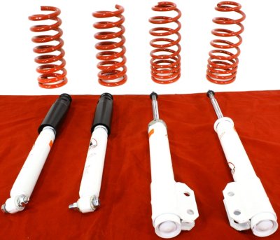 Tokico Lowering Kit