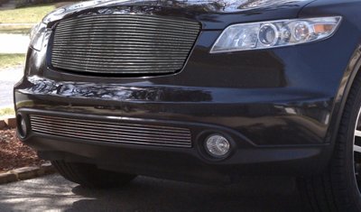 T-Rex Bumper Grille