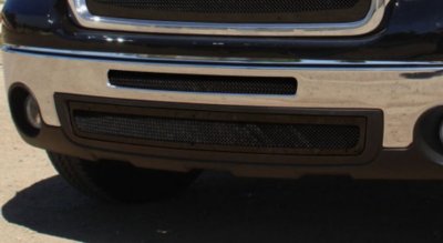 T-Rex Bumper Grille