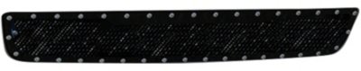 T-Rex Bumper Grille