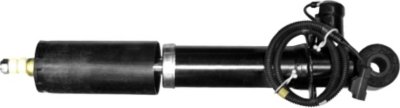Monroe Shock Absorber and Strut Assembly