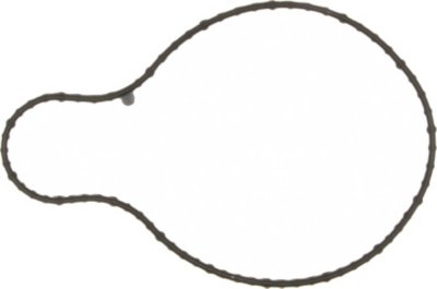 Victor Water Pump Gasket