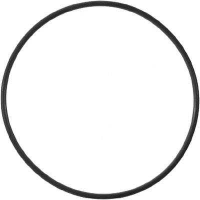 Victor Water Pump Gasket