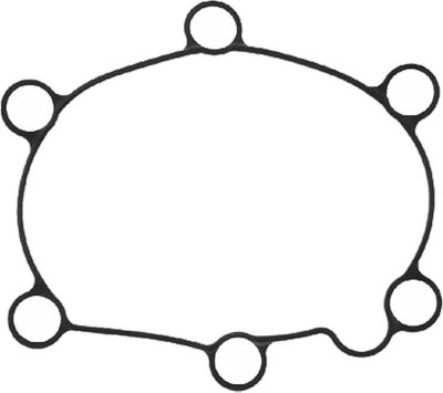 Victor Water Pump Gasket
