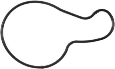 Victor Water Pump Gasket