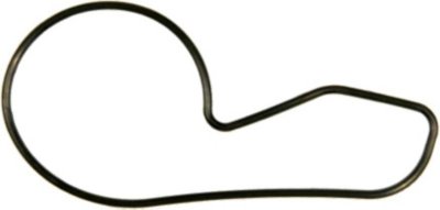 Victor Water Pump Gasket