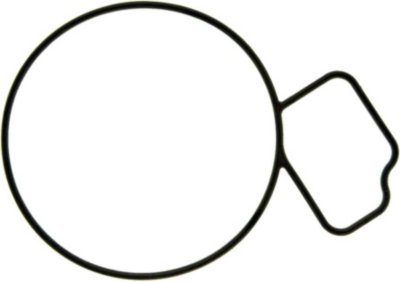 Victor Water Pump Gasket