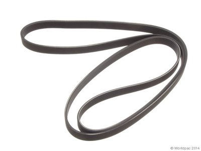 OEQ Drive Belt