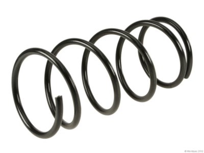 Lesjofors Coil Springs