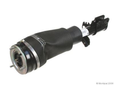 Delphi Shock Absorber and Strut Assembly
