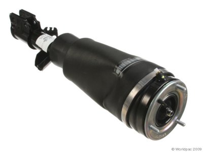 Delphi Shock Absorber and Strut Assembly