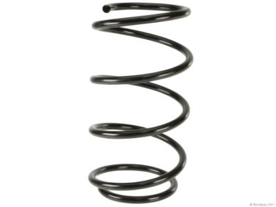 Lesjofors Coil Springs