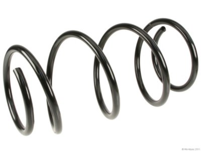 Lesjofors Coil Springs