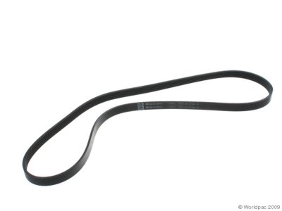 Gates Drive Belt