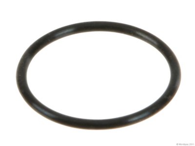 Nippon Reinz Oil Pick-up Tube O-Ring