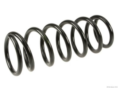 Lesjofors Coil Springs