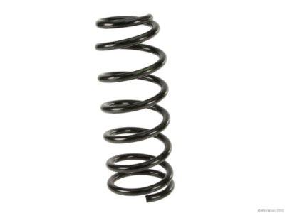 Lesjofors Coil Springs