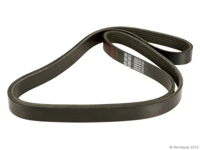Gates Drive Belt