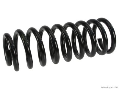 Lesjofors Coil Springs