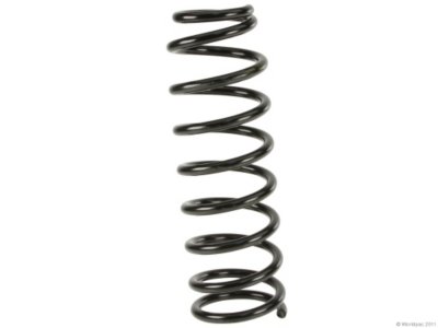 Lesjofors Coil Springs