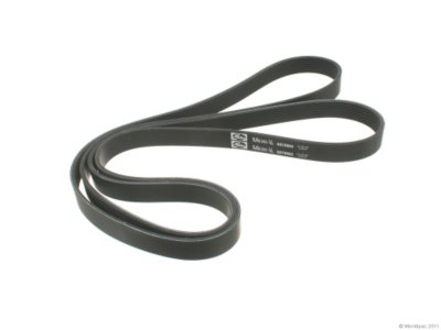 Gates Drive Belt