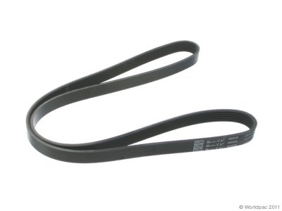 Gates Drive Belt