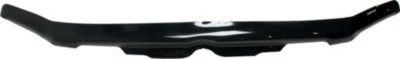 Weathertech Bug Shield